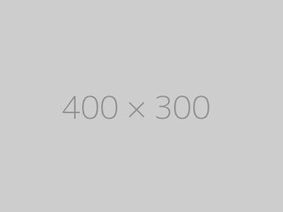 hongo 400×300-ph
